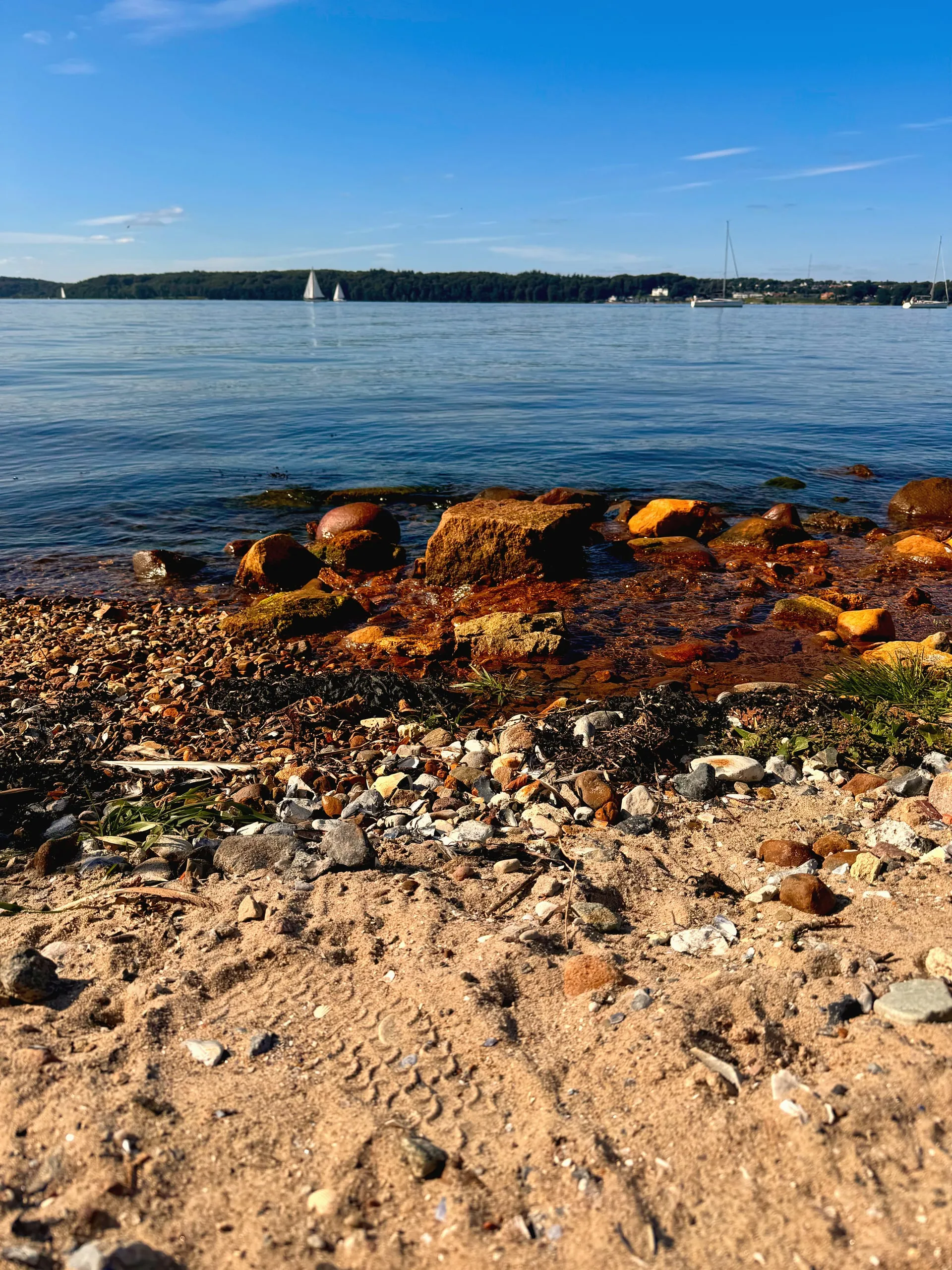 Rötliche Steine am Strand, dahinter die Förde